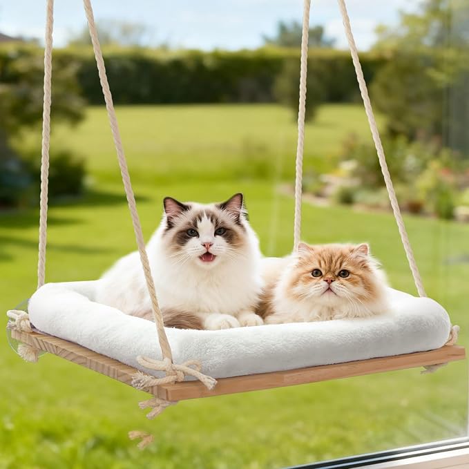 Large Cat Window Perch Hammock, Solid Wood Seat & Plush Cushion | 4 heavy-duty suction cups, sturdy wooden perch for XL & large cats, comfortable indoor window cat bed & hammock by Unknown
