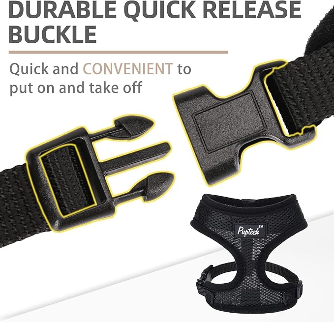 PUPTECK Small Dog Harness and Leash Set No Pull for XS XXS Sized Dogs Puppy | Escape Proof No Choke Pet Cat Adjustable Soft Padded Walking Vest - Image 4