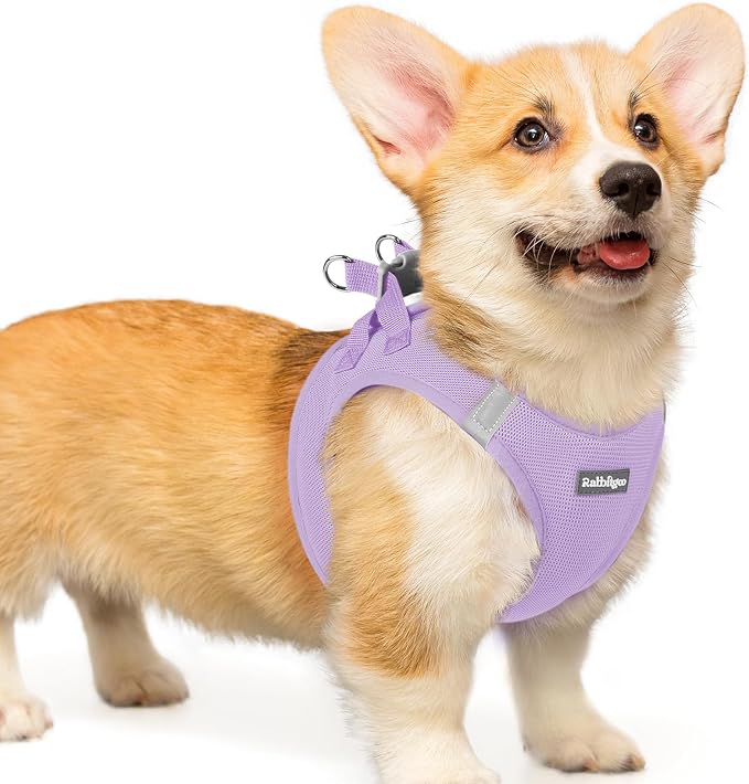 rabbitgoo Step-in Small Dog Harness, Puppy Vest for Small Medium Sized Pet | Easy Put on and off, Lightweight, Soft, Breathable Quick-Dry Air Mesh for Comfortable Secure Walking, Light Purple L by rabbitgoo
