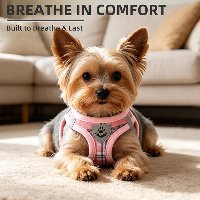 PUPTECK Dog Harness, Collar and Leash Set No Pull for Small Medium Sized | Plaid Puppy Step-in Escape Proof Reflective No Choke Pet Cat Adjustable Walking Vest - Image 8
