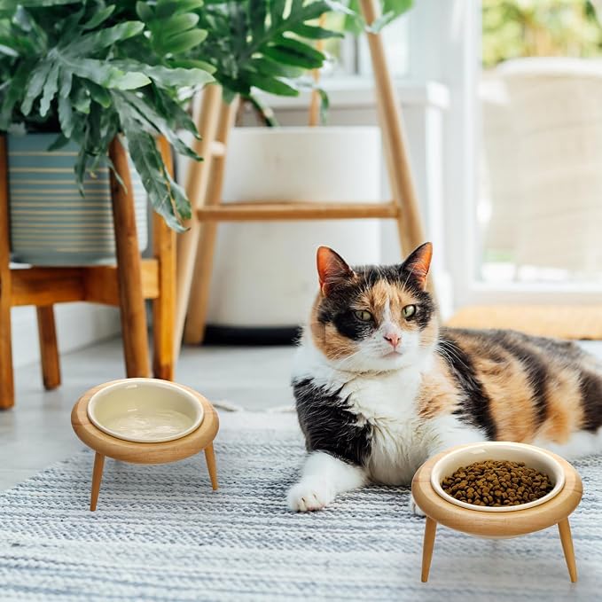 DEAYOU Ceramic Cat Bowl Adjustable, Tilted Elevated Raised Pet Dish, No Spill Pet Food Water Feeder, Slanted Dog Bowl with Wood Stand for Kitty, Pet Supplies, Stress Free, 600 ML/20 OZ, Cream White - Image 7