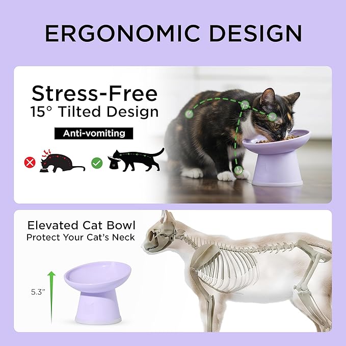 Necoichi BPA-Free Elevated Cat Food Bowls, 15° Tilted, 2-Pack (Lilac Ice) - Image 3