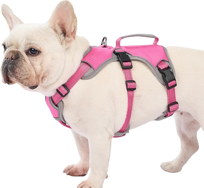 Escape Proof Dog Harness, Dachshund Harness, Reflective Dog Harness with Handle, Durable,Adjustable Vest for Small Medium Large Dogs Walking, Training, and Running Gear (Rose red,M) by Huntboo