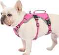 Escape Proof Dog Harness, Dachshund Harness, Reflective Dog Harness with Handle, Durable,Adjustable Vest for Small Medium Large Dogs Walking, Training, and Running Gear (Rose red,M) by Huntboo
