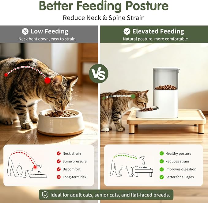 Cat Food Stand, Elevated Cat Feeding Station for Bowls & Feeders | Raised Rim Bowl Support, For Automatic Feeders & Bowls, Non-Slip Feet, Tool-Free Assembly, 15.8 x 9.8 in Wood Platform - Image 4