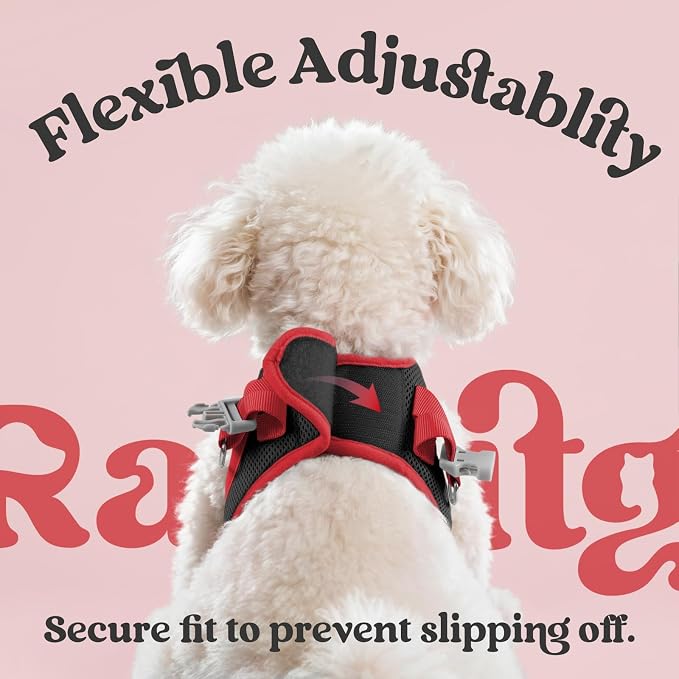 rabbitgoo Dog Harness Small Sized and Leash Set, Step in Soft Vest | Breathable Mesh, Easy Wear with Hook & Loop, Light and Reflective for Walking, Multi-colored, Black & Red, XS - Image 5