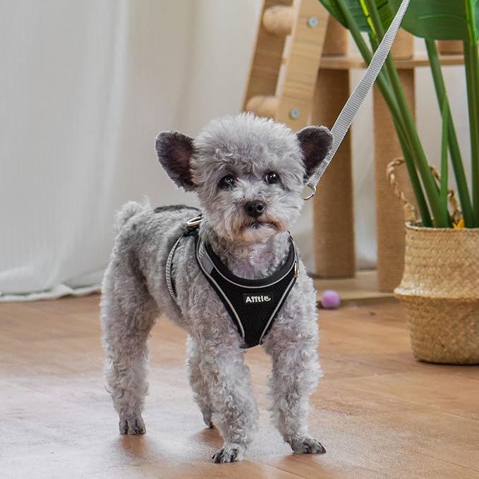 AIITLE Medium Dog Harness and Leash Set, Step-in Puppy Pet Vest, Black XL | Breathable Mesh, Adjustable Fit, Reflective Design, Padded Leash Handle, for Small-Medium Dogs & Cats, Walking, Training - Image 3