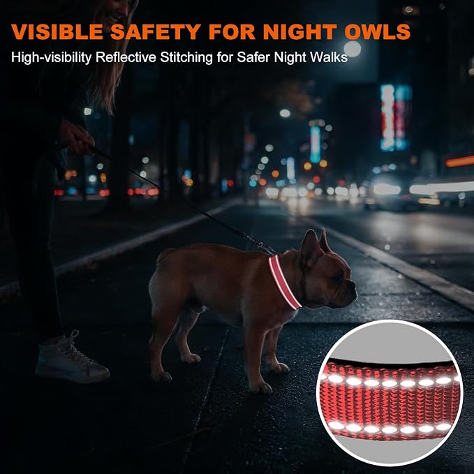 Taglory Reflective Small Dog Collar, Comfortable for Safe Night Walks, Pink | Night-Walk Visibility, Soft Neck Cushioning, Adjustable 10-16 in, Locking Buckle, D-Ring for Leash and ID Tags - Image 5