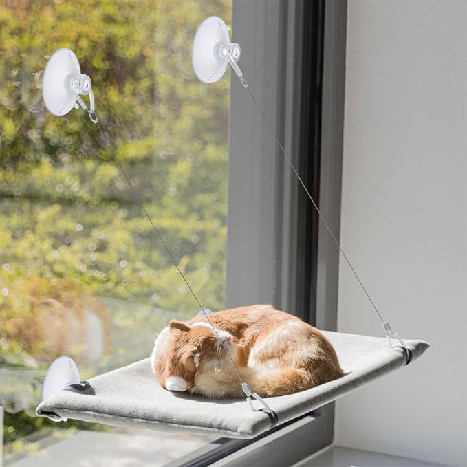 4 PCS Window Perch Suction Cup Large Replacement Clear PVC Sucker Pads Powerful Suction Cups for Cat Window Bed Seat Hammocks (Pack of 2) - Image 5