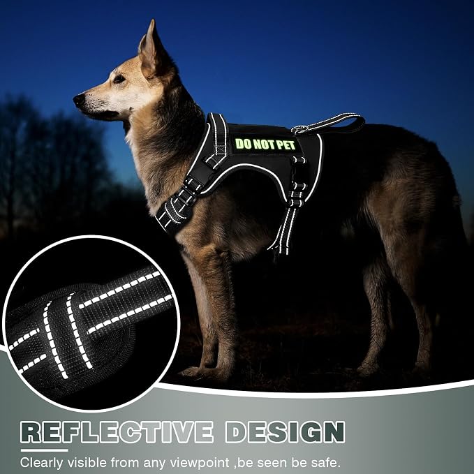 Tactical Dog Harness, No Pull Dog Harness for Medium Large Dogs with Handle & Molle, Military Service Dog Vest Harness in Training Pet Harness for Small Dogs - Image 5