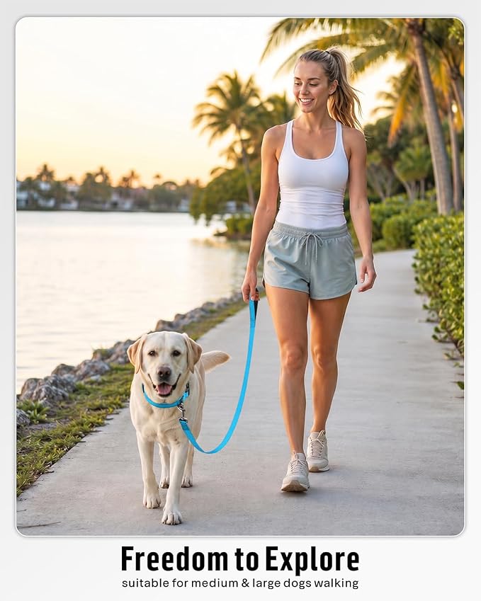 FunTags Reflective Nylon Dog Leash for Medium & Large Dogs, 6FT for Walks | Comfortable Padded Grip, Stay Safe at Night, 360° Anti-Tangle Swivel, for Dog Parks & Trails, Sky Blue - Image 5