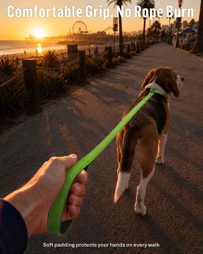 FunTags Reflective Nylon Dog Leash for Small & Medium Dogs, 6FT for Walks | Comfortable Padded Grip, Stay Safe at Night, 360° Anti-Tangle Swivel, for Dog Parks & Trails, Green - Image 2