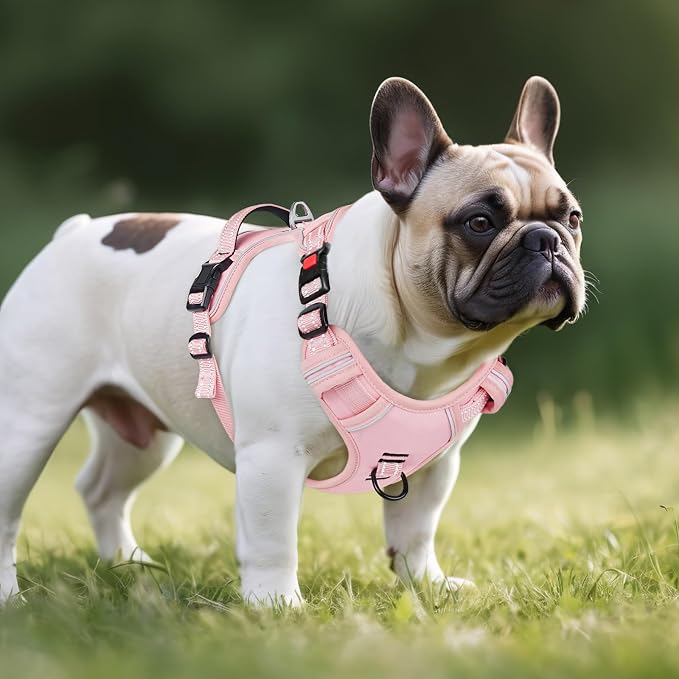 Timos Dog Harness Small Dog, Neck Quick Release, No Pull Pet Vest, Pink, XS | Reflective, Easy On & Off, Soft Padded, No Choke, Adjustable 2 Metal Rings 3 Buckles with Control Handle for Walking Training - Image 6