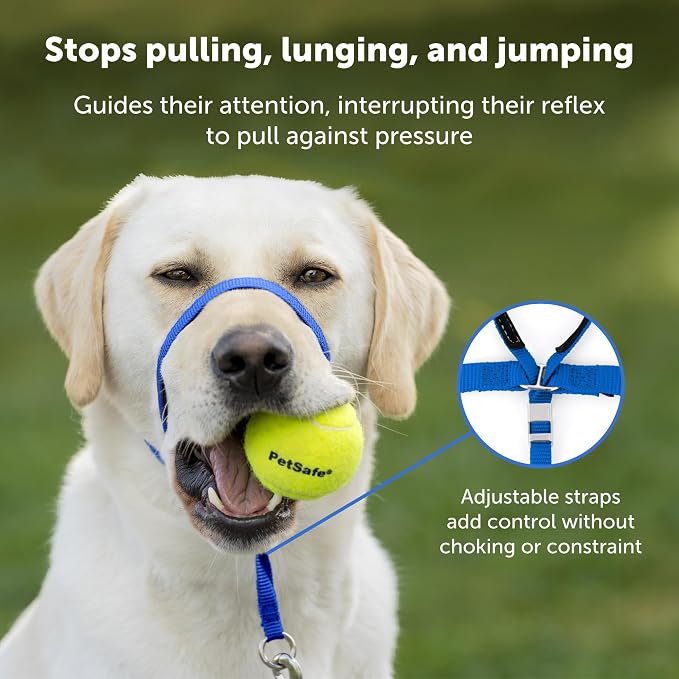 PetSafe Gentle Leader No-Pull Dog Headcollar - The Ultimate Solution to Pulling - Redirects Your Dog's Pulling for Easier Walks - Helps You Regain Control - Large, Charcoal (Pack of 6) - Image 3
