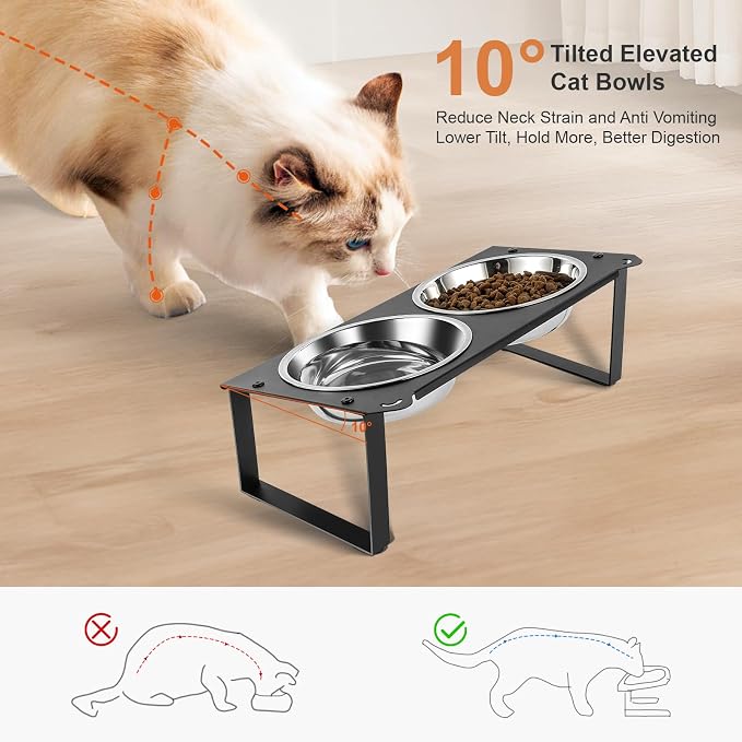 2 Set Elevated Cat Food Water Bowls, 4 Stainless Steel Bowls for Indoor Pet with Cute Metal Stand, 10° Tilted Anti-Vomiting Wide Shallow Raised Cat Dishes Whisker Friendly for Multiple Kitten,Puppy - Image 2