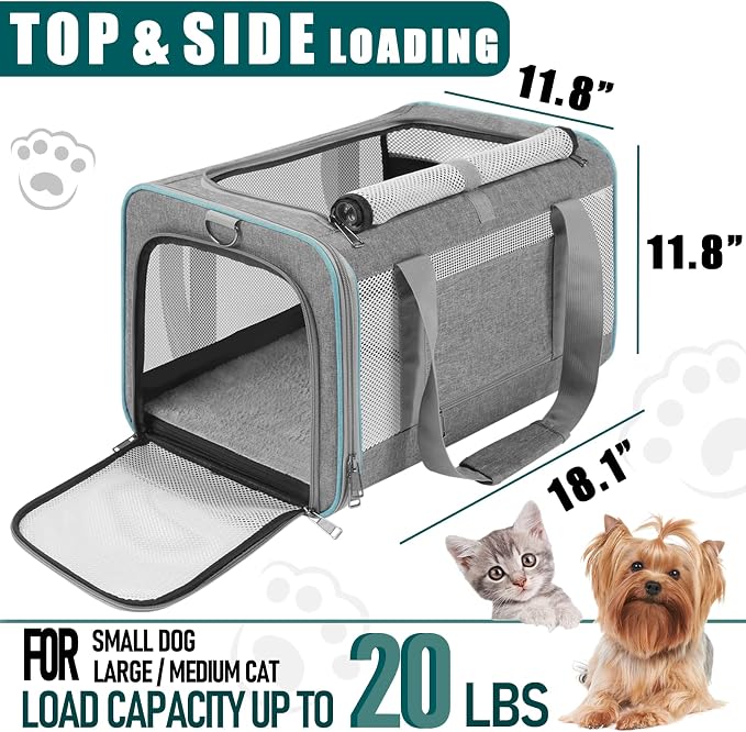 GAPZER Large Cat Carrier Soft, Collapsible Travel Pet Carry Bag, Small Dogs | Large Cats up to 20 lbs+ Maine Coon, Top Load Transport Small Puppy Dog Crate, Chihuahua Mini Dog 10lbs, Sturdy Mesh Grey - Image 2