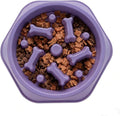 Slow Feeder Dog Bowls Anti Gulping Reduces Gastric Burden Prevents Bloat and Digestive Issues Safe Durable Material Easy to Clean Puppy Slow Feeder Bowl for Healthy Eating Excess Energy Management by Unknown