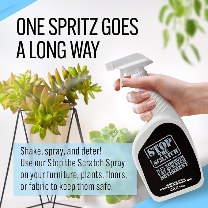 Stop the Scratch Cat Scratch Spray Deterrent – Rosemary Oil, 32 oz | Protect Couches & Carpets — big-value, non-toxic spray for multi-cat homes, gentle around greenery, floors & furniture - Image 6