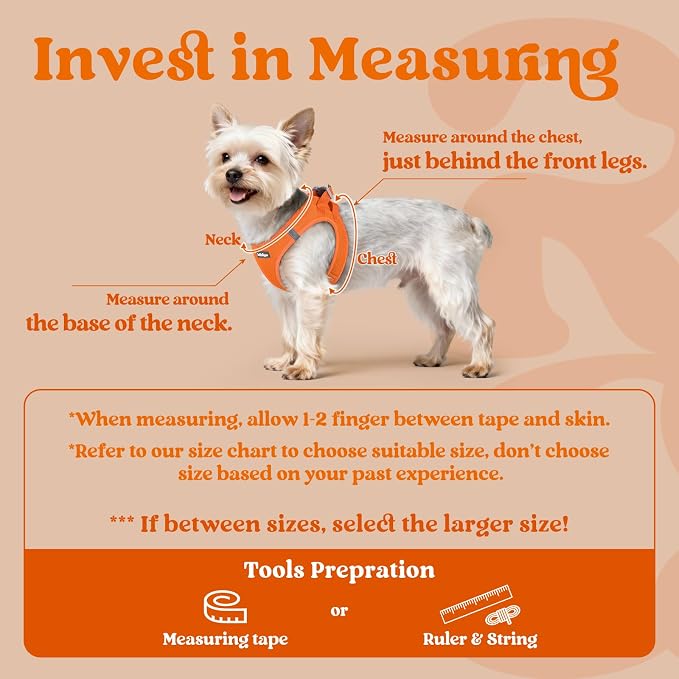 rabbitgoo Step-in Small Dog Harness, Puppy Vest for Small Medium Sized Pet | Easy Put on and off, Lightweight, Soft, Breathable Quick-Dry Air Mesh for Comfortable Secure Walking, Orange L - Image 2
