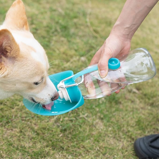 LumoLeaf Dog Water Bottle for Walking, Portable Pet Water Dispenser with Foldable Leaf Bowl – Lightweight Travel Bottle for Small & Medium Dogs, 20 fl oz - Image 2