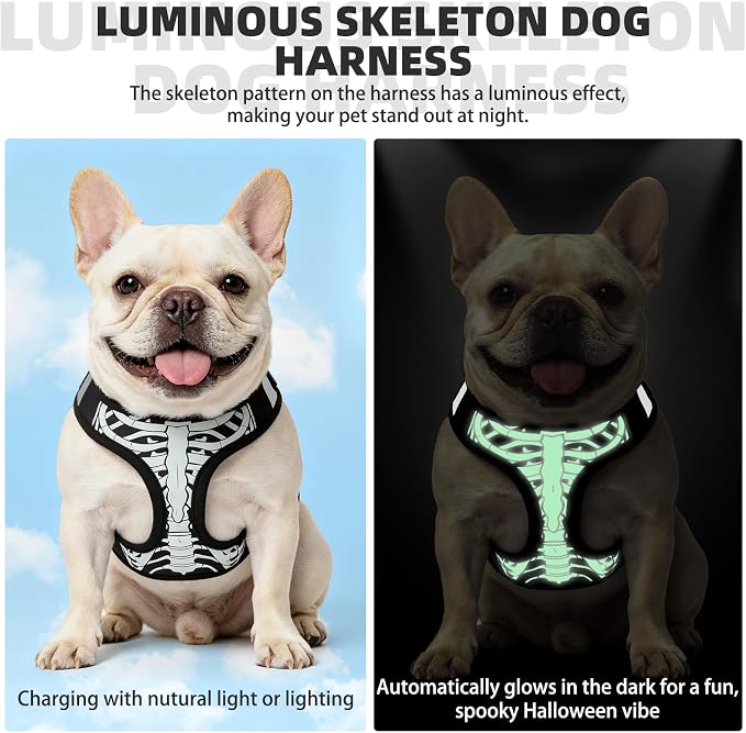 KOOLTAIL Halloween Dog Harness and Leash Set for Small Medium Dogs,Step in No Pull Soft Mesh Comfort Padded Pet Vest Harness,Glow-in-Dark Skeleton Design Easy Walking Puppy&Cat Harness for Holiday M - Image 5