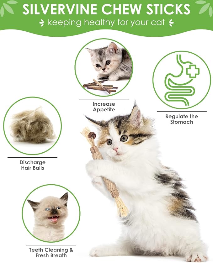 TINDTOP Silvervine Chew Sticks for Cats, 12 Pack Natural Catnip Chew Toys | for Kittens Teeth Cleaning, Matatabi Dental Care, Increase Appetite, Calm Cat Anxiety and Stress, Cat Dental Toy - Image 2