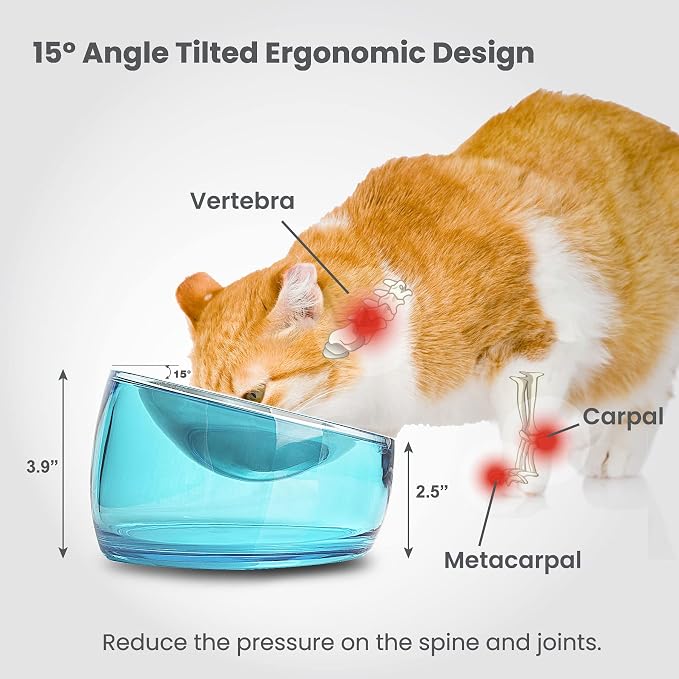 Felli Pet Oblik Whisker Fatigue Cat Food Bowl Raised Stainless Steel Shallow Dish, Pet Design Anti Vomit Tilted Metal Plate Feeder Elevated Acrylic Base(Sapphire, 0.5 Cups Shallow Dish) - Image 4