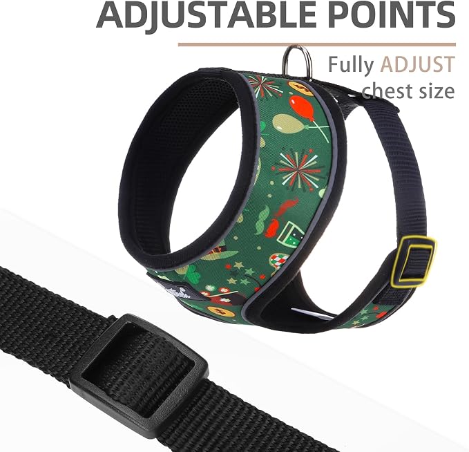 PUPTECK Small Dog Harness and Leash Set No Pull for XS XXS Sized Dogs Puppy | Escape Proof No Choke Pet Cat Adjustable Soft Padded Walking Vest - Image 3