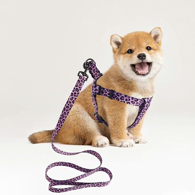 Dog Harness Leash Set Adjustable Heavy Duty No Pull Halter Harnesses for Small Medium Large Breed Dogs Back Clip Anti-Twist Perfect for Walking - Image 5