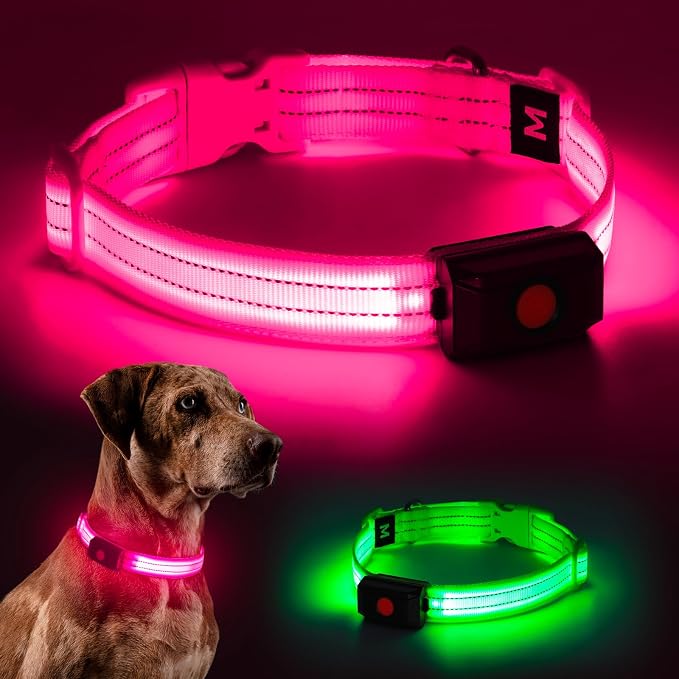 Light Up Dog Collar for Night Walking Flashing, LED Dog Collar Light Rechargeable Reflective Dog Collar Water-Resistant Adjustable Size Dog Collars for Medium Dogs by Kpuplol