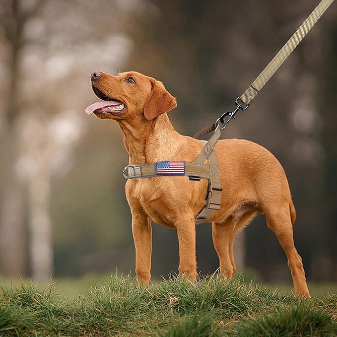 Annchwool No Pull Dog Harness with Padded Handle+5 Ft Leash,Reflective Strip Escape Proof and Quick Fit to Adjust Dog Harness,Easy for Training Walking for Small & Medium and Large Dogs(Brown-Set,M) - Image 6