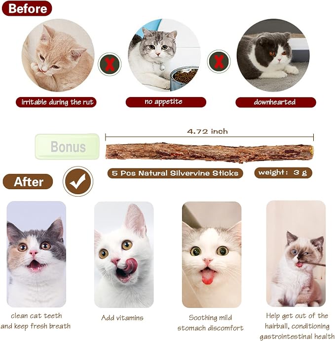 Natural Wood Cat Wand Toy with Ribbon Fish Teaser - 3pcs, 16 Inch, Indoor Cat Exerciser & Playing Kitten Toy, Bonus 5pcs Catnip Sticks for Teeth Cleaning - Image 3