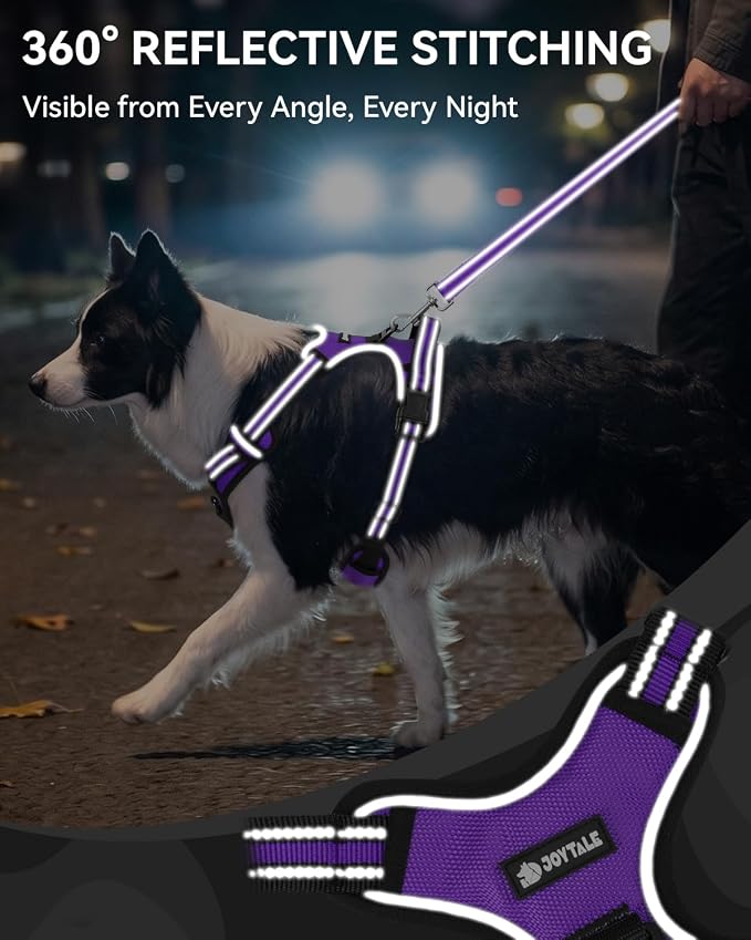 Joytale No Pull Dog Harness & Seat Belt, Easy On 3-Buckle, M, Purple | Front Clip Reduces Pulling, Escape-Resistant Design, Adjustable Fit, Soft Padding for Comfort, Secure Tether for Safer Travel - Image 6