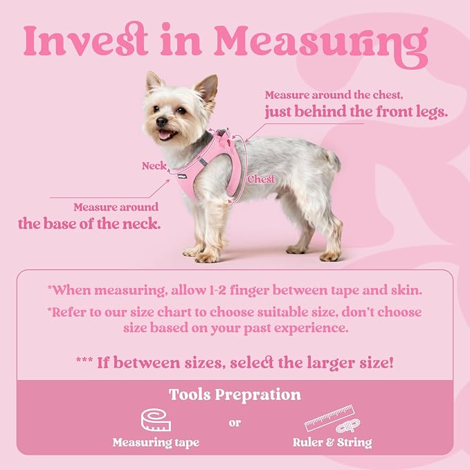 rabbitgoo Step-in Small Dog Harness, Puppy Vest for Medium Sized Pet | Easy Put on and off, Lightweight, Soft, Breathable Quick-Dry Air Mesh for Comfortable Secure Walking, Light Pink XXL - Image 2
