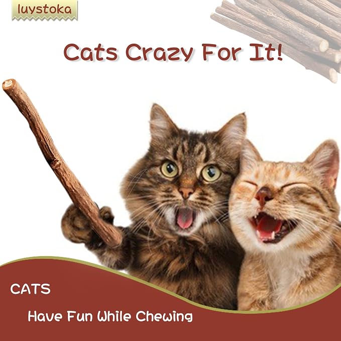 Silvervine Sticks for Cats, 30PCS Kitten Toys Catnip Toys Matatabi Silvervine Sticks Kitty Chew Toys Wooden Stick Kitten Teething Toys Molar Suitable for Cats of All Ages - Image 3