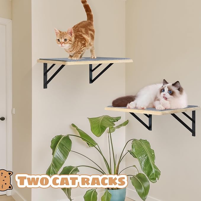 Burlywood Cat Furniture Indoor Set of 2: Wood Shelves with Scratching Pad, Climbing Shelf for Sleeping & Playing, Window Perch for Big Cats - Image 3