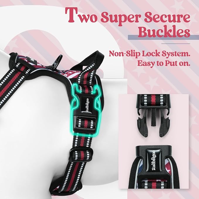 rabbitgoo Dog Harness, No Pull for Large Dogs with 2 Leash Clips, Pet Vest | No Choke with Handle, Adjustable Soft Padded, Reflective, Easy Control for Walking, Red Stripe, X-Large - Image 3
