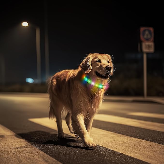 LED Dog Collar, RGB Light Up Dog Collar USB Rechargeable 6 Modes | Waterproof Light Up Dog Collar with Soft Nylon Comfort, Adjustable Fit for Small Medium Large Dogs Neon Green M - Image 8