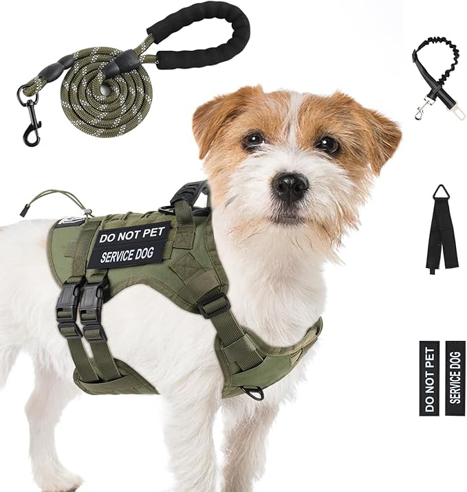 No Pull Tactical Dog Harness Small Sized Dog, Service Dog Vest, S, Green | Tactical Dog Vest Harness and Leash Set, Adjustable Military Service Dog Harness with Handle for Medium Large Dogs by Yungaspy