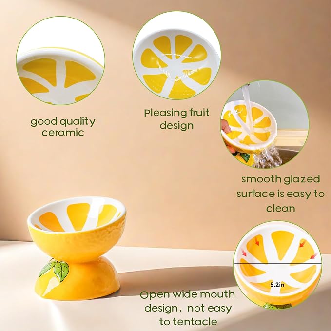 Elevated Cat Bowl Ceramic Raised Cat Food Water Bowls for Indoor Kitten | 5.2in Tilted Anti Vomiting Slow Feeder Cat Dishes, Whisker Friendly, Cute Lemon Design - Image 5