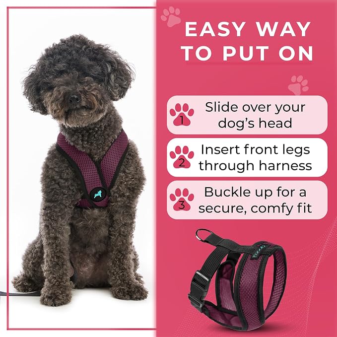 Gooby Comfort X Head-in Dog Harness, Choke-Free, Purple, X-Large | Patented choke-free X-frame; Secure head-in fit; Lightweight breathable mesh; Back metal D-ring; Machine washable - Image 8