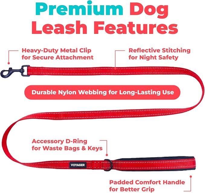 Best Pet Supplies Voyager Nylon Dog Leash - Red, Medium | 5ft in Length, 3/4" in Width, Reflective, Soft Neoprene Handle, Heavy Duty Metal Clips for Running, Walking & Training - Image 2
