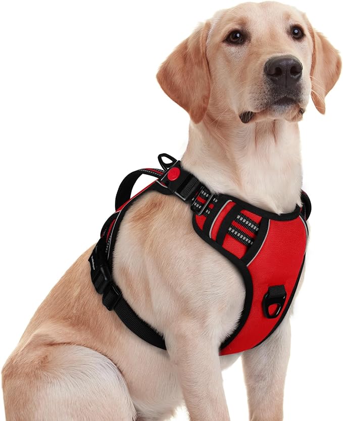 rabbitgoo Large Dog Harness, Easy Wear with 3 Buckles and Lift Handle | No Pull with Front Clip for Walking, Adjustable Soft Padded, Reflective, Easy Control, Red, Medium by rabbitgoo