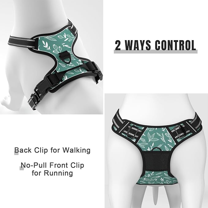 Rnivvi No Pull Dog Harness, Cute Reflective Small Sized Puppy Kitten Harness, Adjustable Soft Padded Vest for Small Dogs, Cats, Heavy Duty Pet Vest with Easy Control Handle for Walking, Green Leaves - Image 5