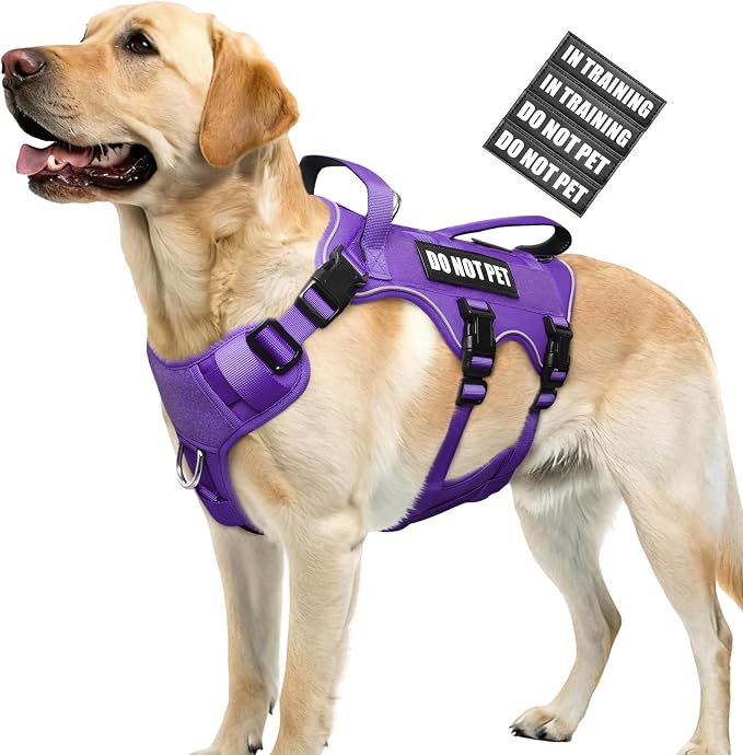 WINSEE Escape Proof Dog Harness with Double Handle+4 Removable Patches | Service Working Molle Harness with Double Handle for Large Dogs, Tactical Pet Reflective Vest for Walking Hiking Hunting by WINSEE