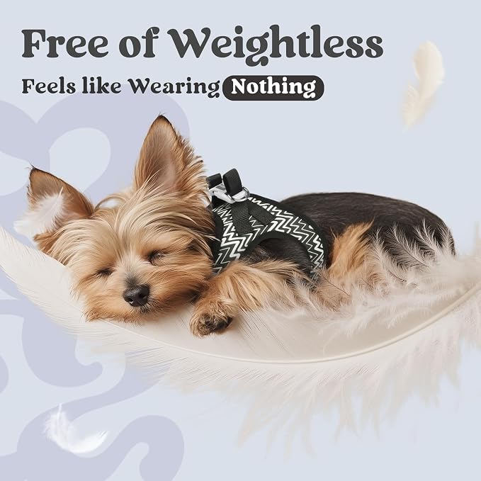 rabbitgoo Step-in Small Dog Harness, Puppy Vest for Small Sized Pet | Easy Put on and off, Lightweight, Soft, Breathable Quick-Dry Air Mesh for Comfortable Secure Walking, Black Zigzag XS - Image 4
