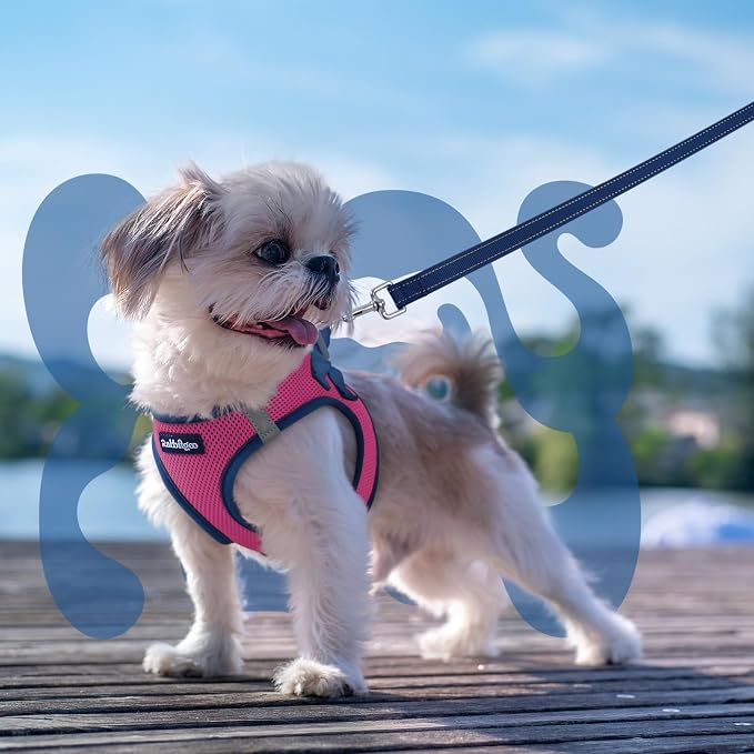 rabbitgoo Dog Harness Small Sized and Leash Set, Step in Soft Vest | Breathable Mesh, Easy Wear with Hook & Loop, Light and Reflective for Walking, Multi-colored, Rose Red & Navy Blue, XS - Image 8