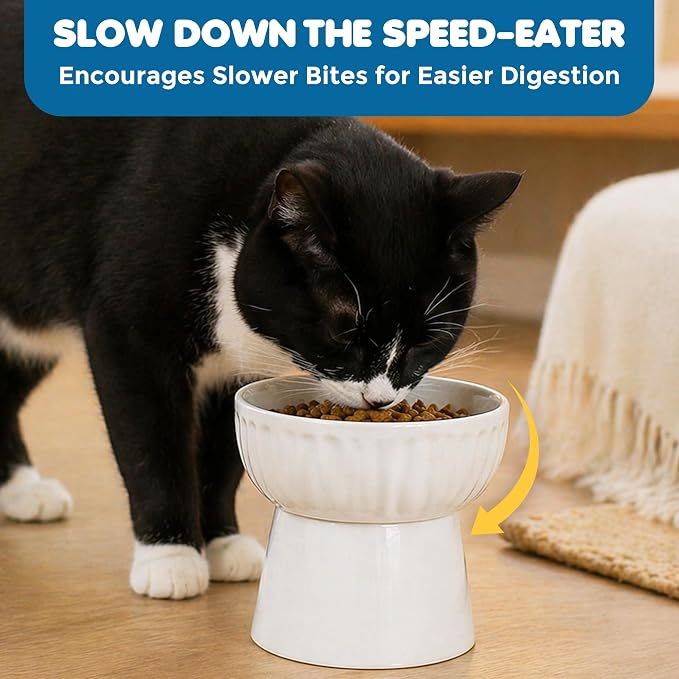SunGrow Ceramic Cat Bowl with Stand, Suitable Eating Height for Pets, Raised Food Bowl, Mealtime for Your Cats, Stoneware Feeding Station - Image 5