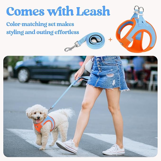 rabbitgoo Dog Harness Small Sized and Leash Set, Step-in Puppy Pet Vest | Light, Soft, Breathable Air Mesh, Easy on and Remove with Hook & Loop, Secure Reflective for Walking, Blue & Orange XS - Image 6