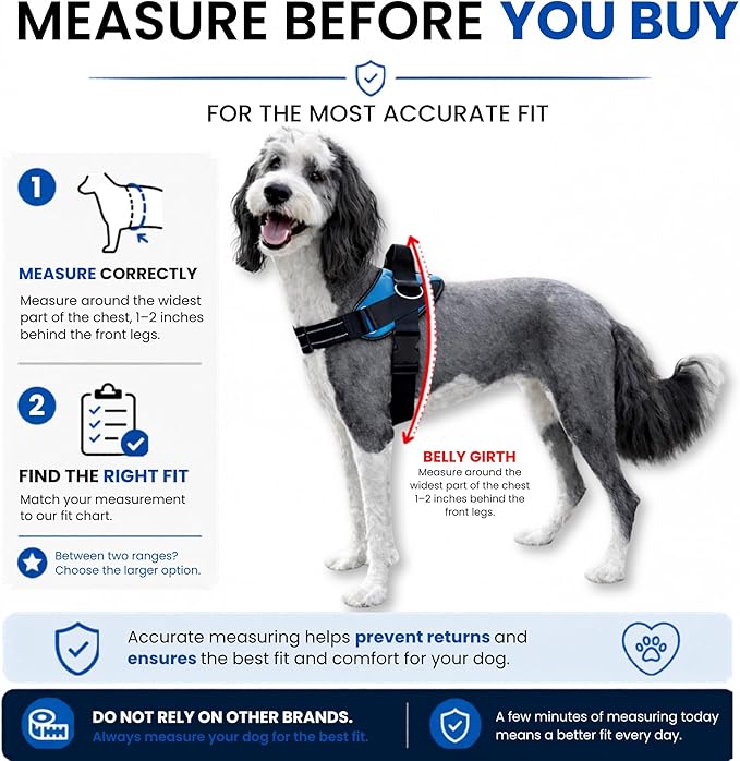 ShawnCo Essential Dog Harness, No-Pull Pet Vest (Pacific Blue,M) | 3 Leash Clips, Easy On, No-Choke, Reflective, Adjustable Fit, Padded Comfort, Control Handle, For Small, Medium & Large Dogs - Image 6